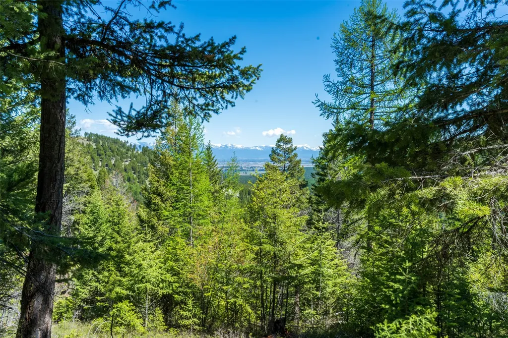 1643 Mcmannamy Draw Kalispell MT 59901