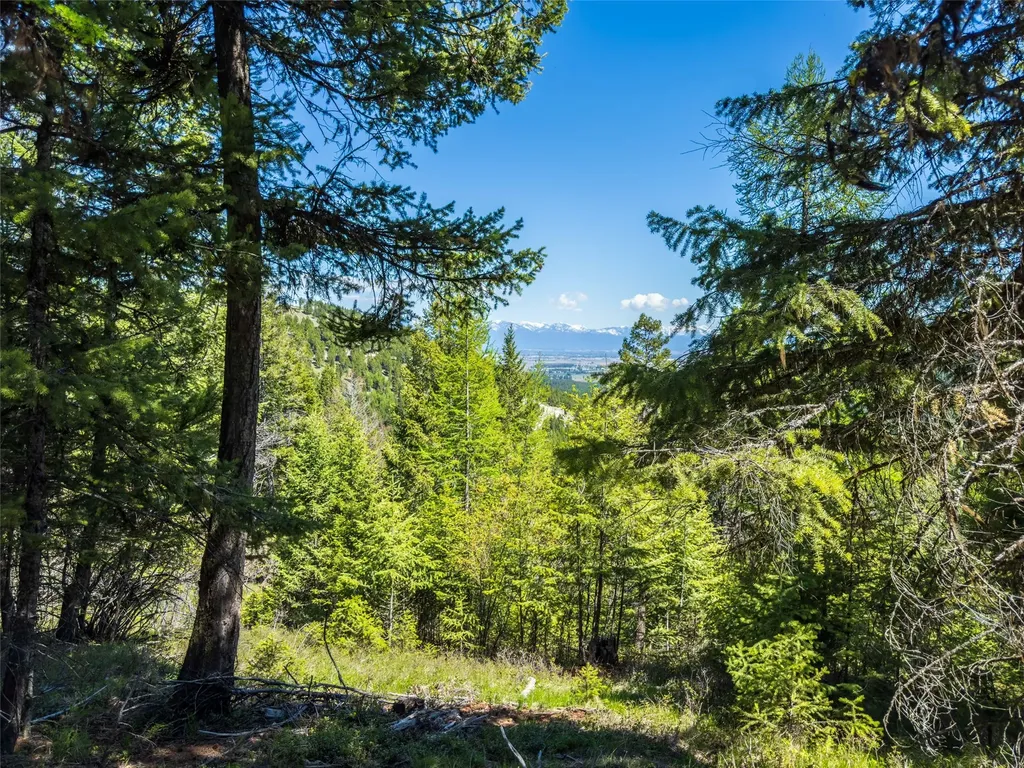 1643 Mcmannamy Draw Kalispell MT 59901