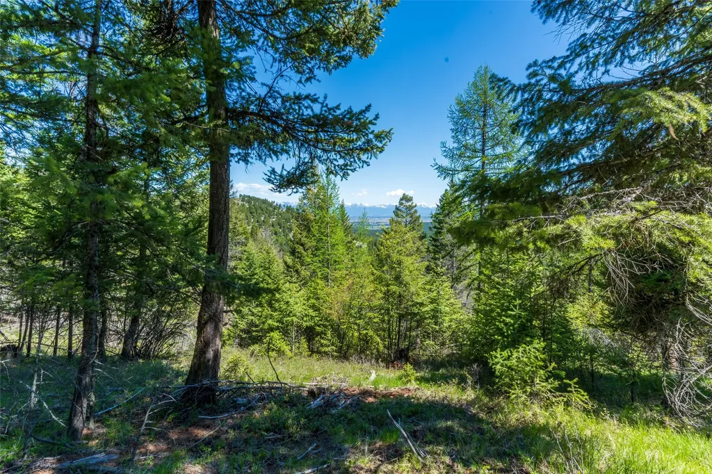 1643 Mcmannamy Draw Kalispell MT 59901