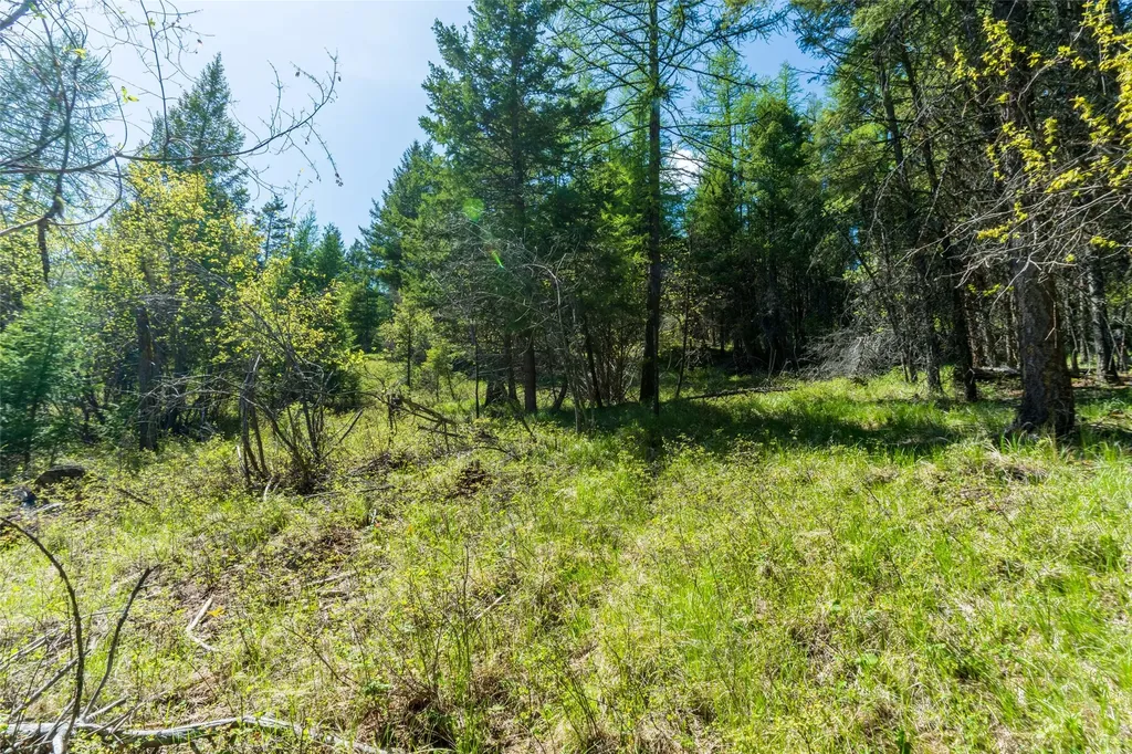 1643 Mcmannamy Draw Kalispell MT 59901