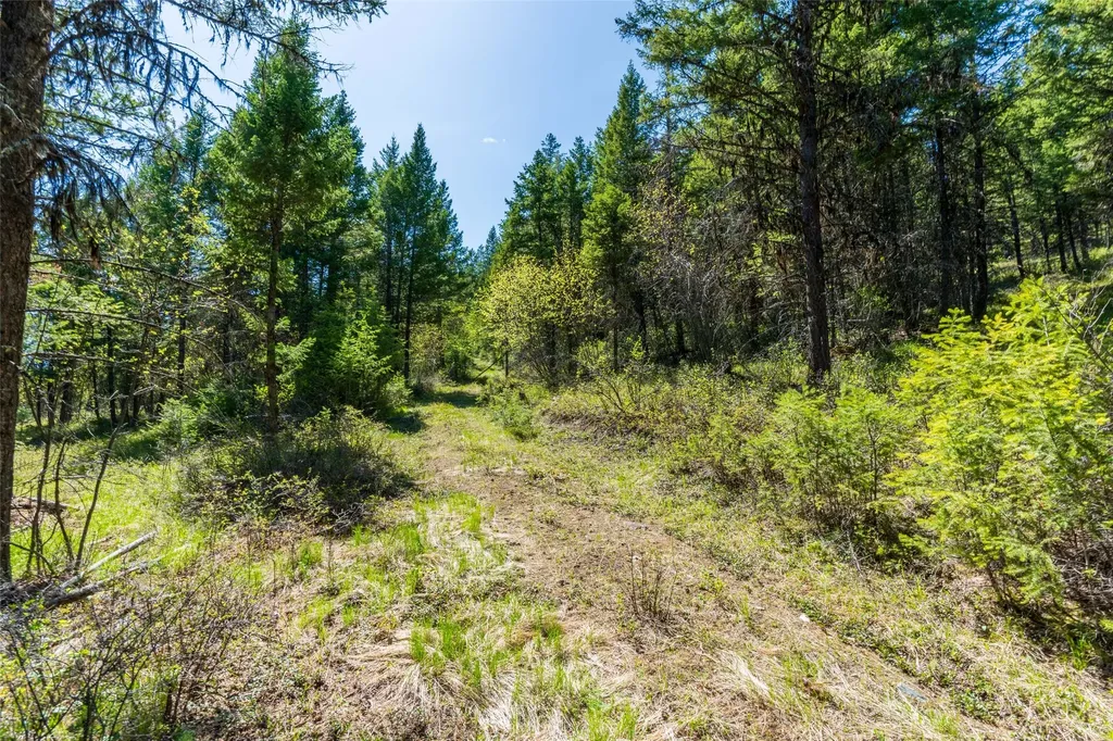 1643 Mcmannamy Draw Kalispell MT 59901