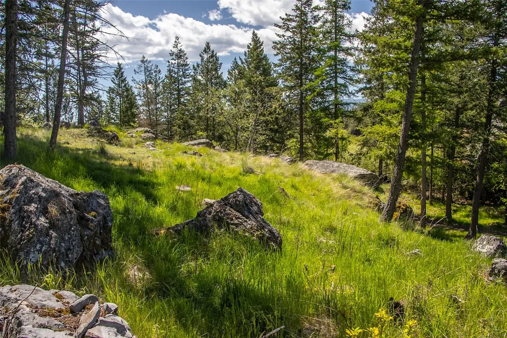 87 Rock Ridge Way Bigfork MT 59911