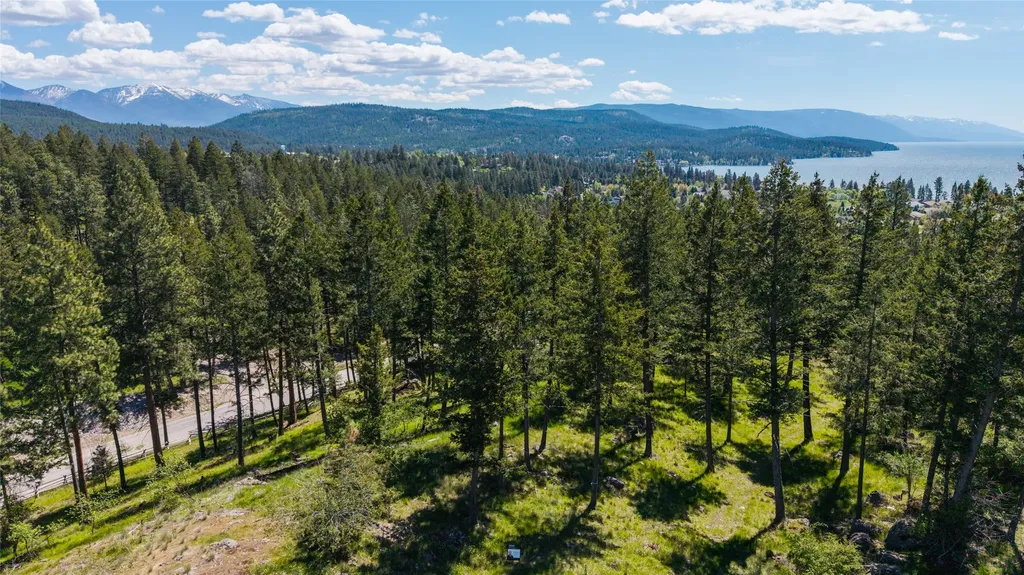 87 Rock Ridge Way Bigfork MT 59911