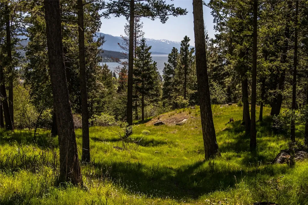 87 Rock Ridge Way Bigfork MT 59911