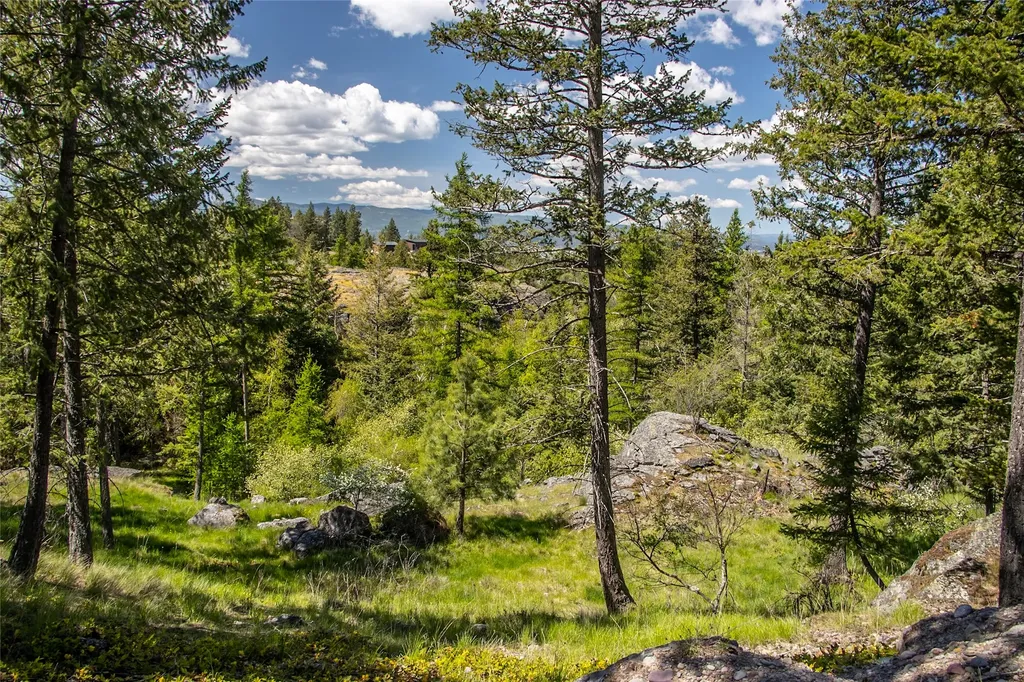 87 Rock Ridge Way Bigfork MT 59911