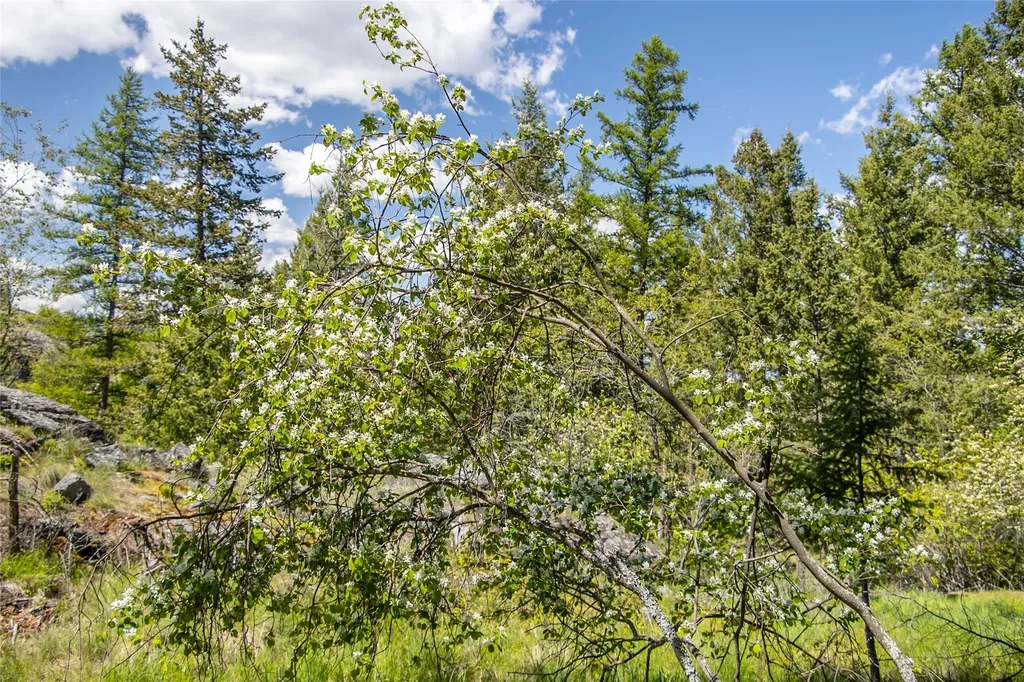 87 Rock Ridge Way Bigfork MT 59911