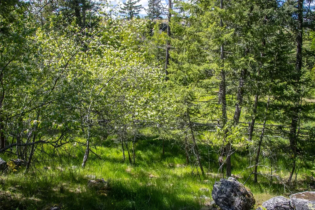 87 Rock Ridge Way Bigfork MT 59911