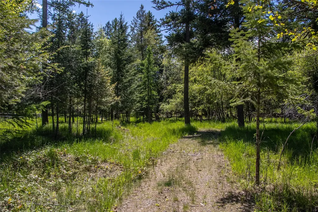 87 Rock Ridge Way Bigfork MT 59911