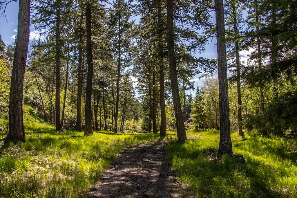87 Rock Ridge Way Bigfork MT 59911