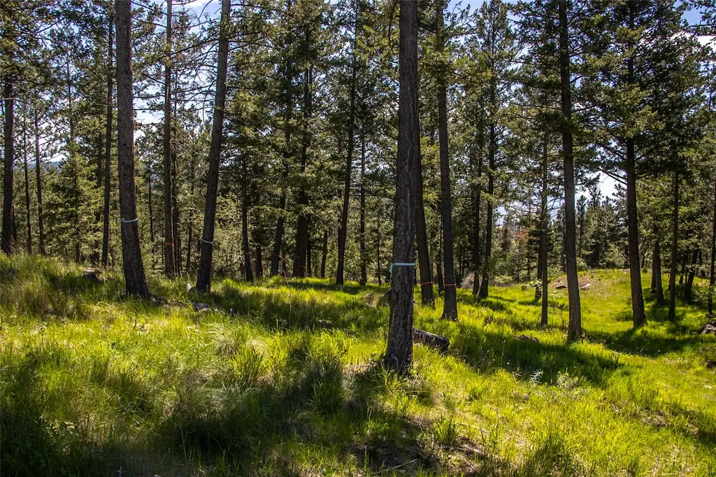 87 Rock Ridge Way Bigfork MT 59911