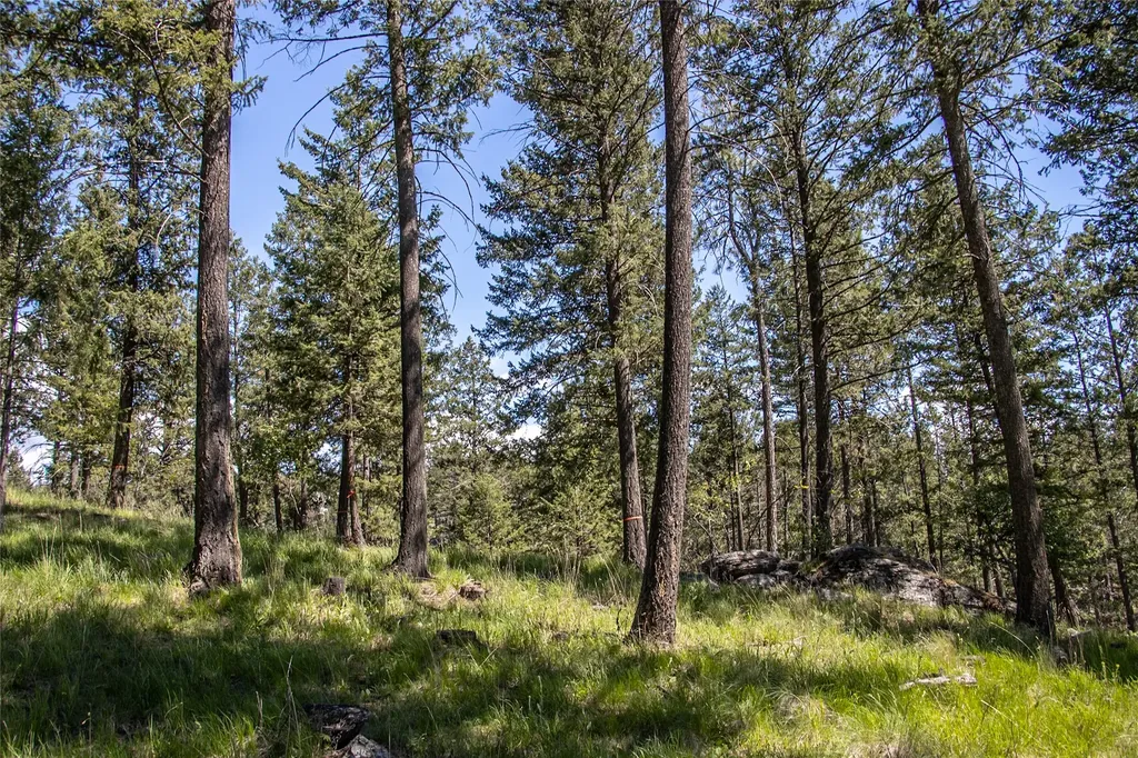87 Rock Ridge Way Bigfork MT 59911