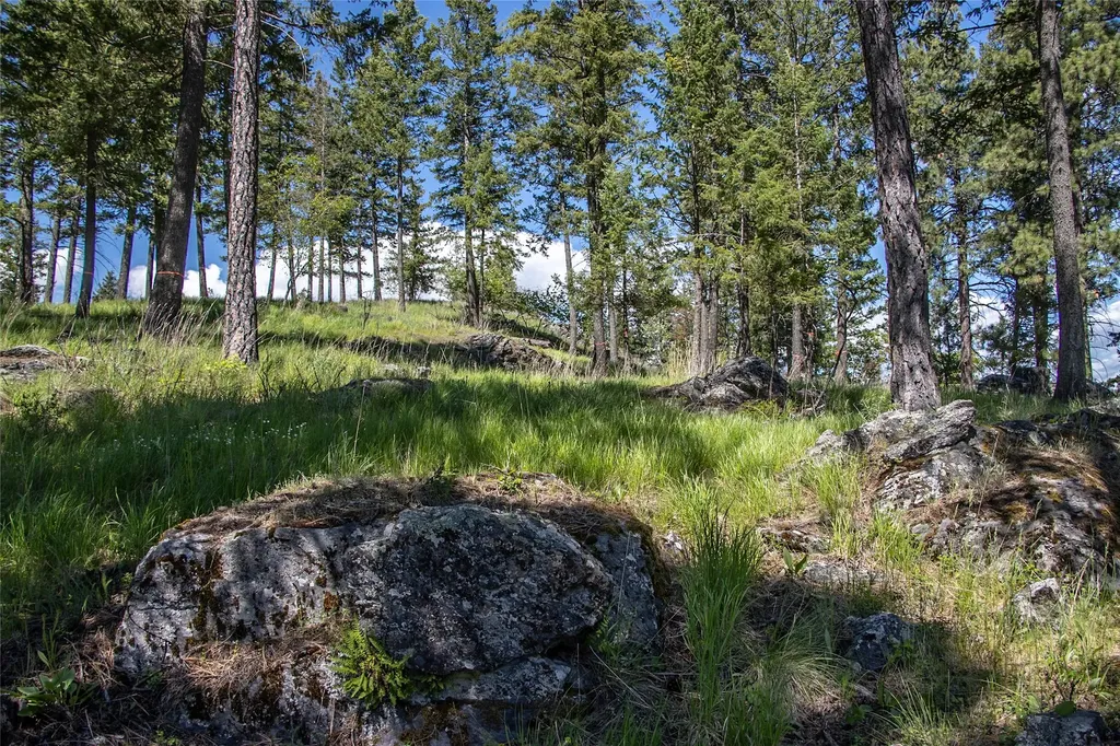87 Rock Ridge Way Bigfork MT 59911