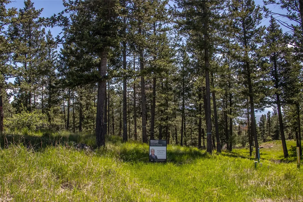 87 Rock Ridge Way Bigfork MT 59911