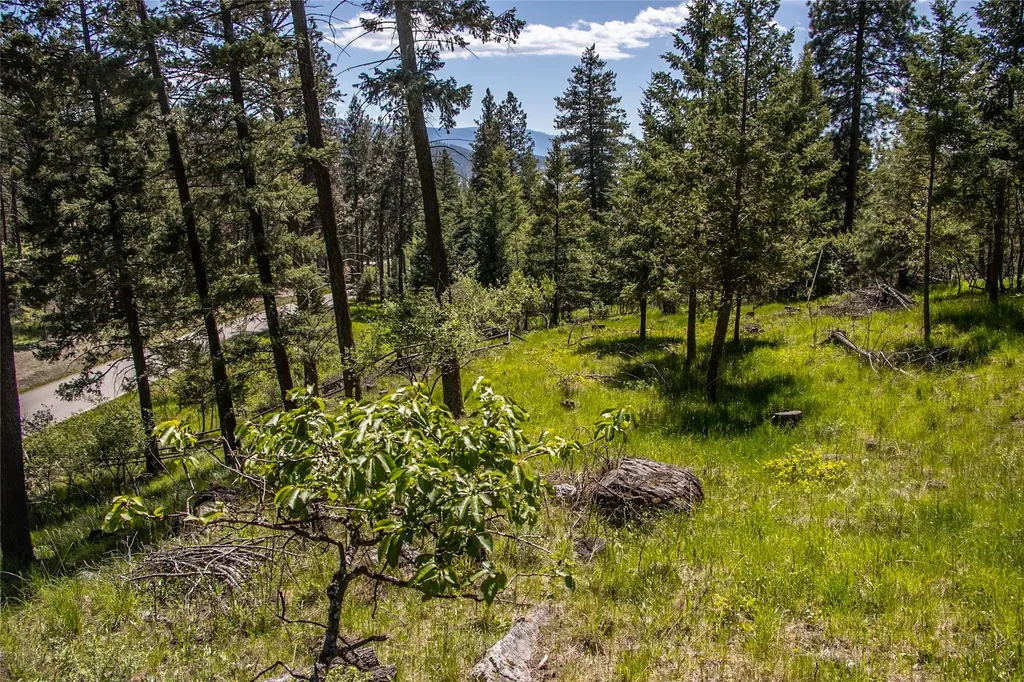 87 Rock Ridge Way Bigfork MT 59911