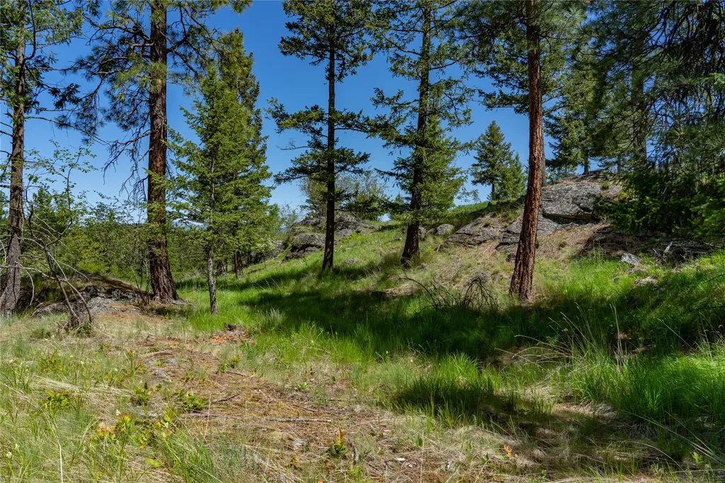 1193 Whispering Rock Road Bigfork MT 59911