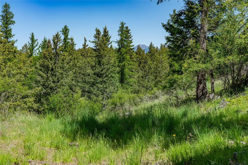1193 Whispering Rock Road Bigfork MT 59911