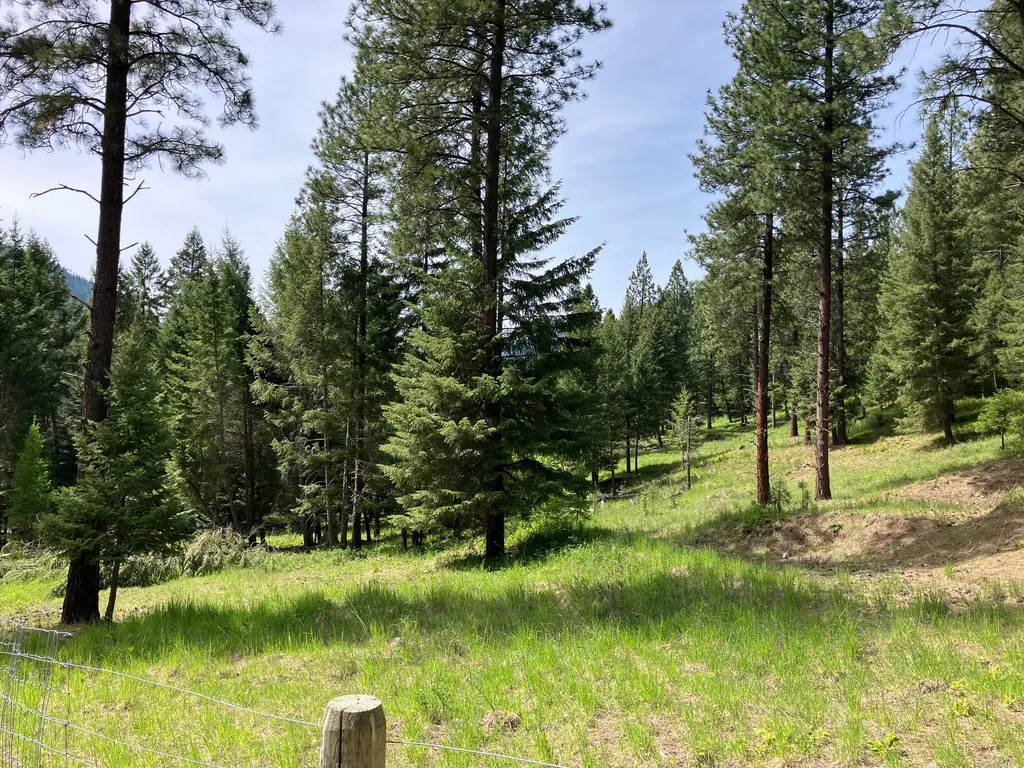 605 Quartz Creek Road Libby MT 59923
