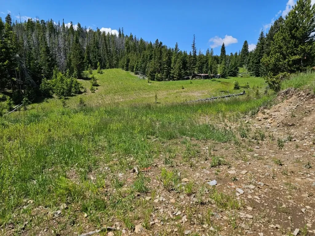 New Era Indian Creek Road Townsend MT 59644
