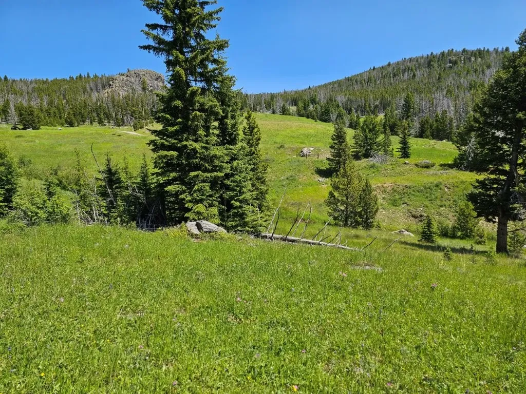 New Era Indian Creek Road Townsend MT 59644