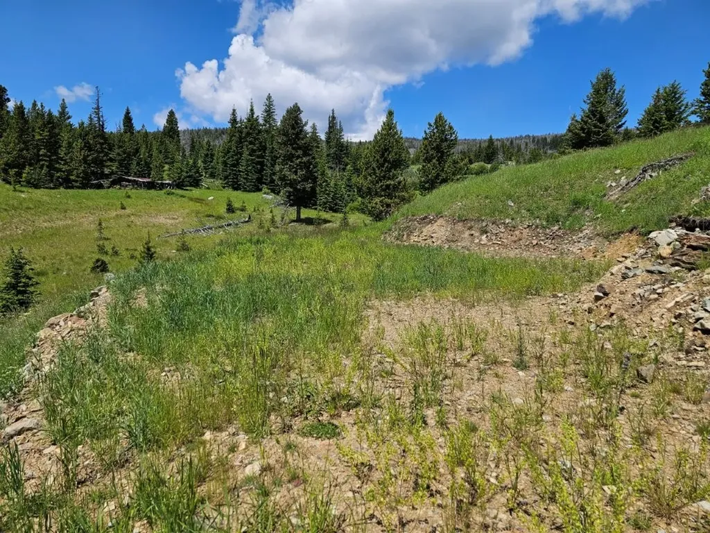 New Era Indian Creek Road Townsend MT 59644