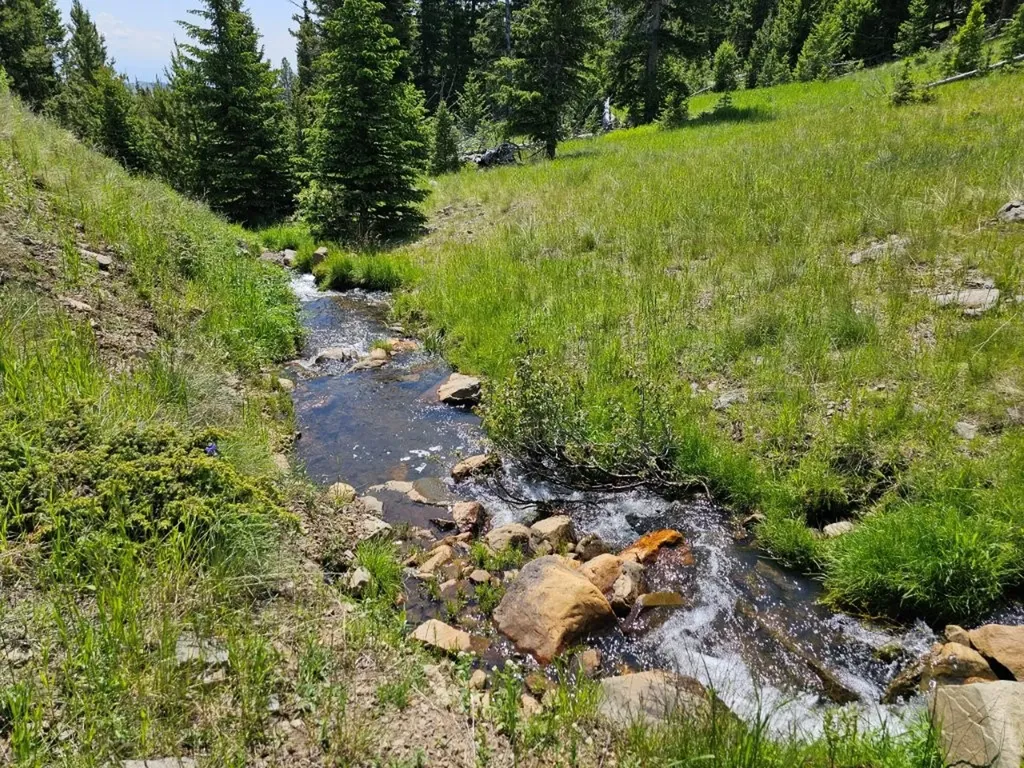 New Era Indian Creek Road Townsend MT 59644