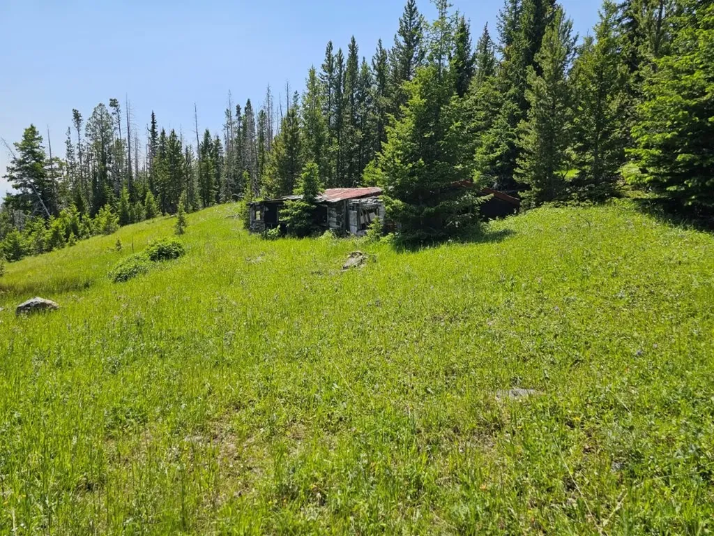 New Era Indian Creek Road Townsend MT 59644