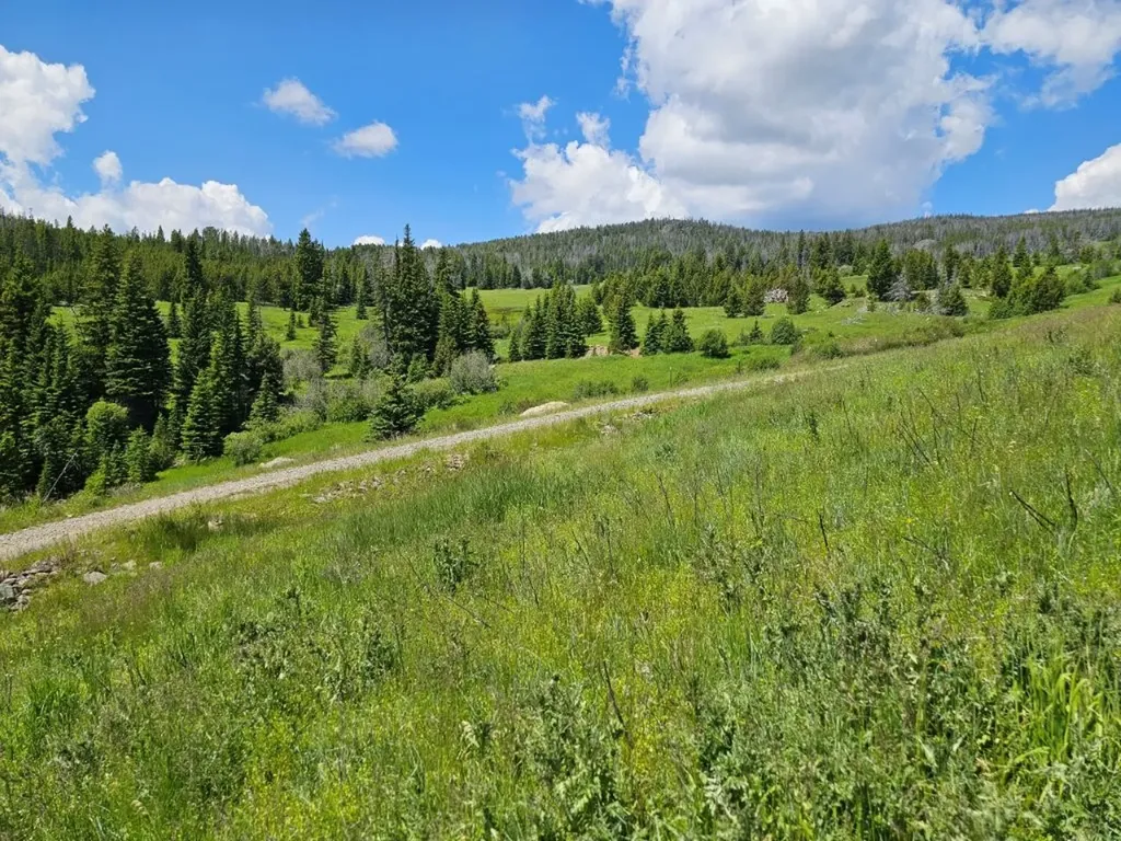 New Era Indian Creek Road Townsend MT 59644