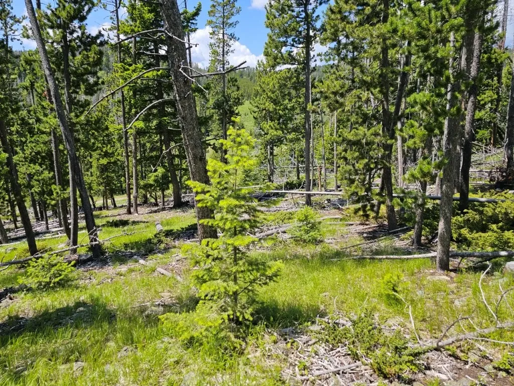 New Era Indian Creek Road Townsend MT 59644