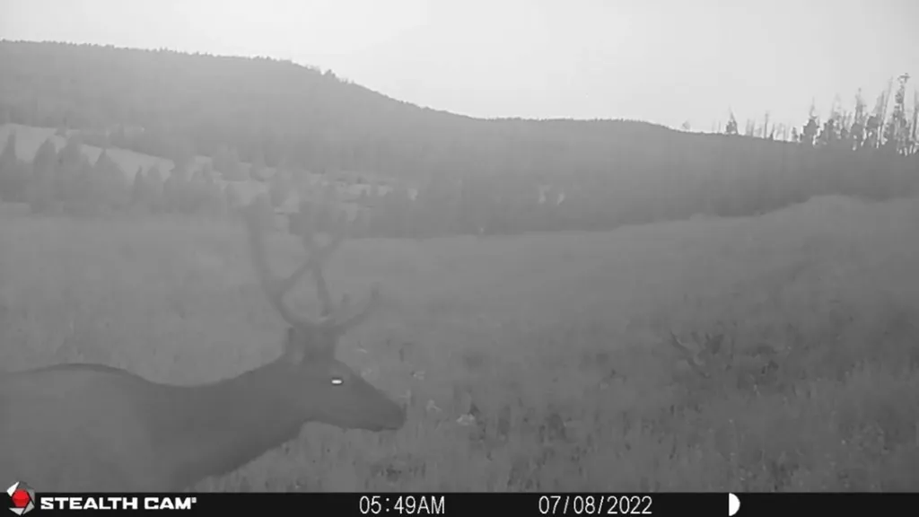 New Era Indian Creek Road Townsend MT 59644