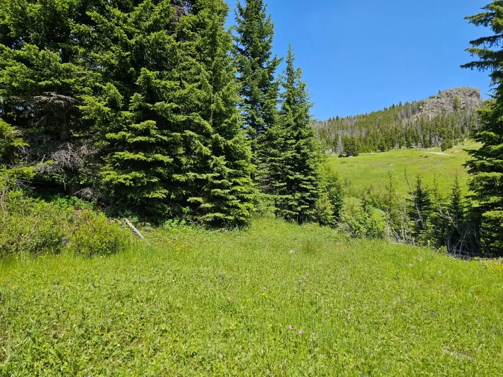New Era Indian Creek Road Townsend MT 59644