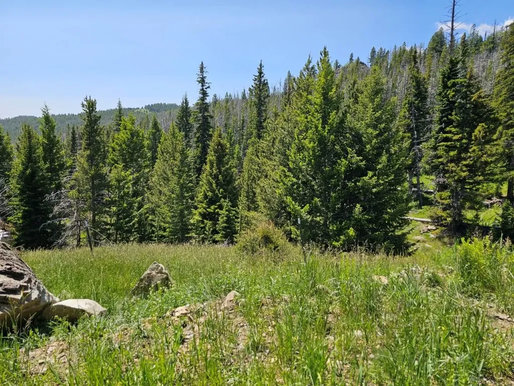 New Era Indian Creek Road Townsend MT 59644