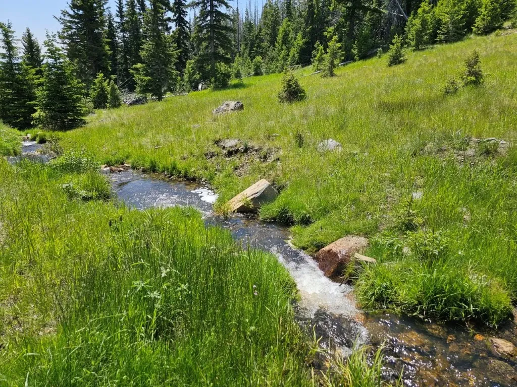 New Era Indian Creek Road Townsend MT 59644