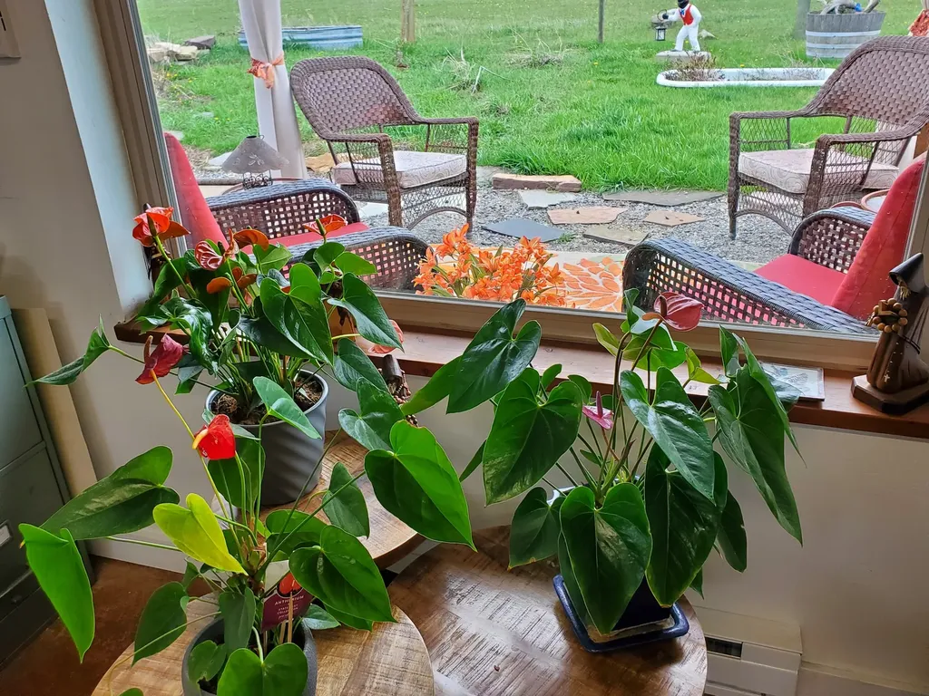 1559 Dalton Mountain Road Lincoln MT 59639