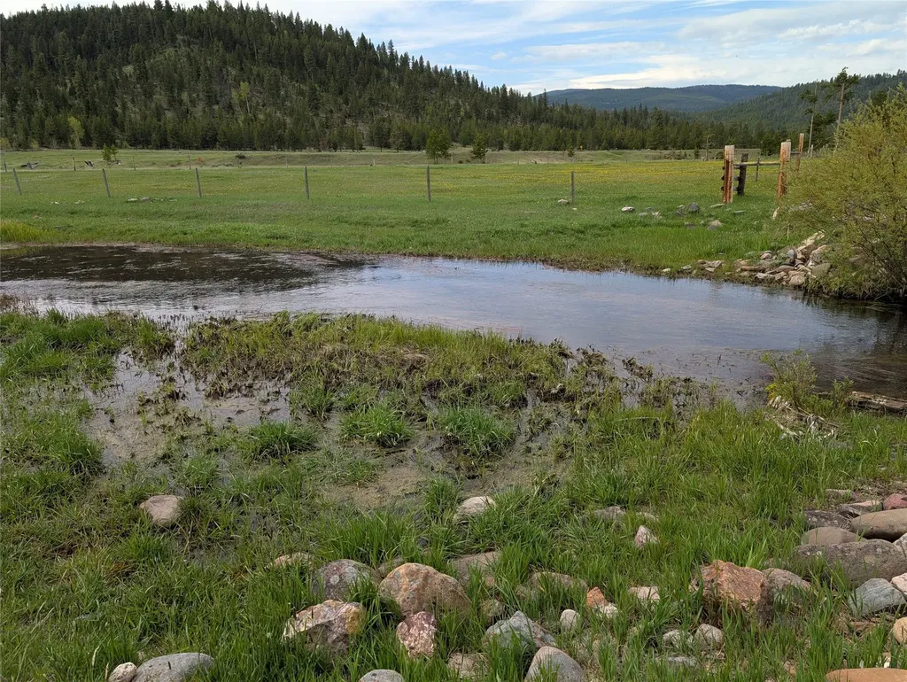 1559 Dalton Mountain Road Lincoln MT 59639