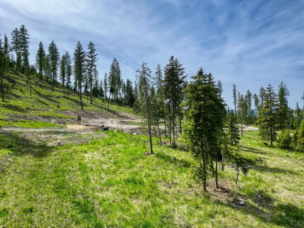 1186 Barbara's Way Kila MT 59920
