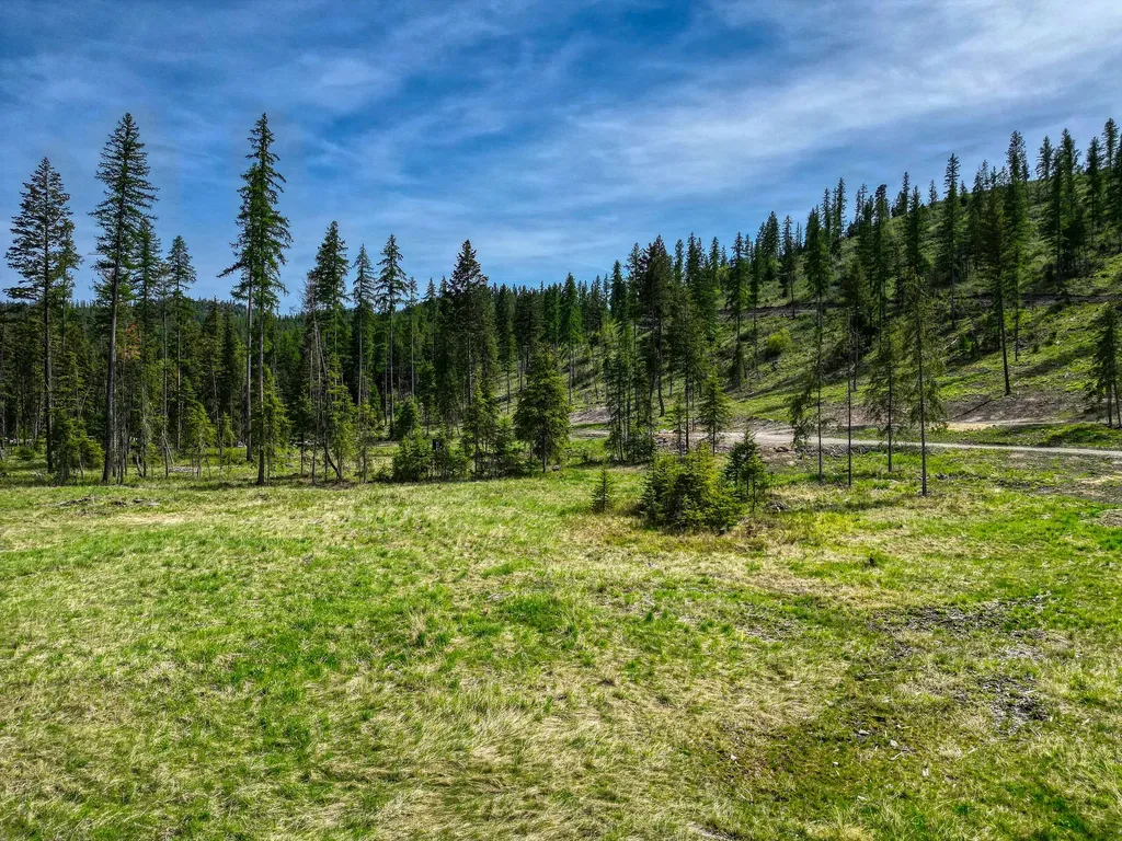 1186 Barbara's Way Kila MT 59920