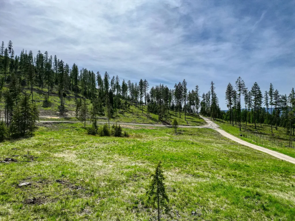 1186 Barbara's Way Kila MT 59920