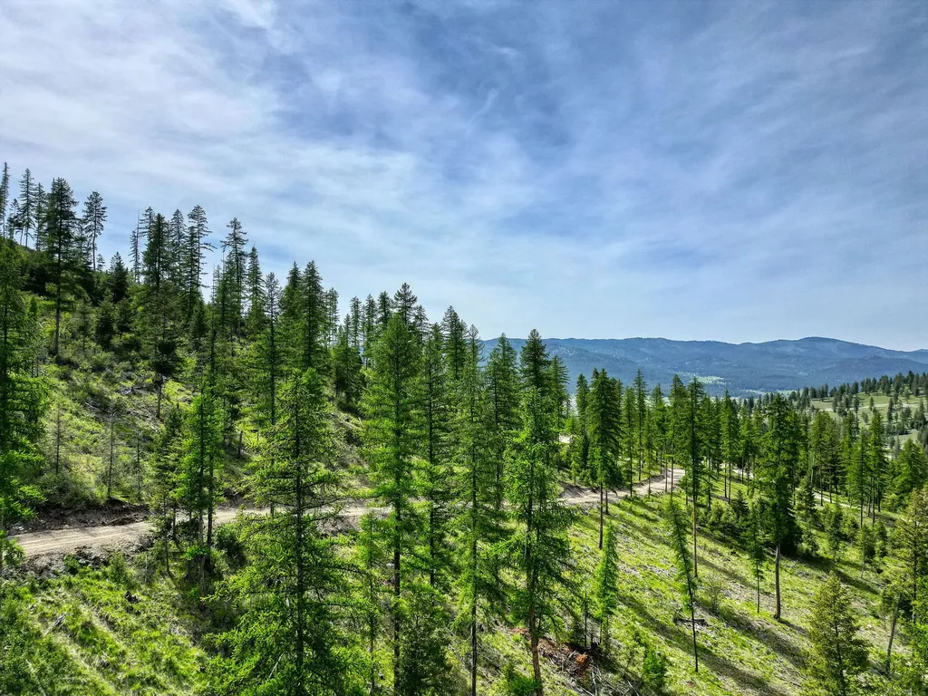 1186 Barbara's Way Kila MT 59920