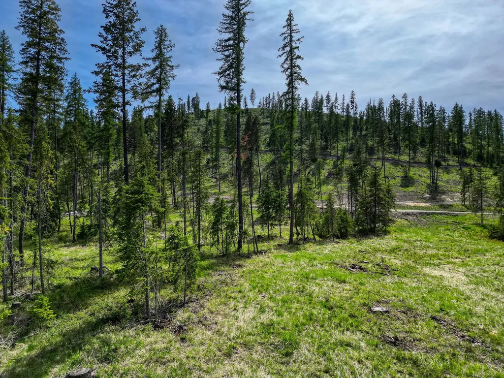 1186 Barbara's Way Kila MT 59920