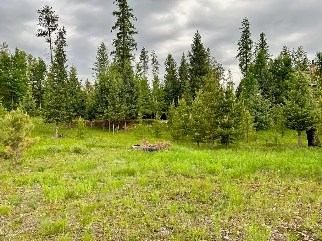237 N Monture Court Seeley Lake MT 59868
