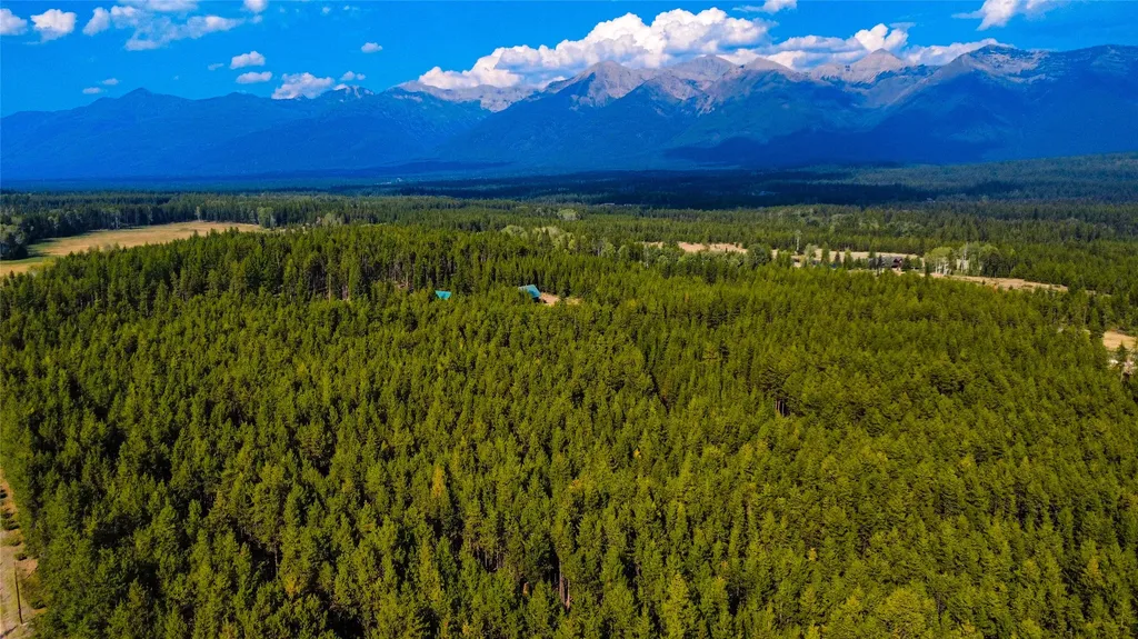 4825 Scenic Drive Condon MT 59826