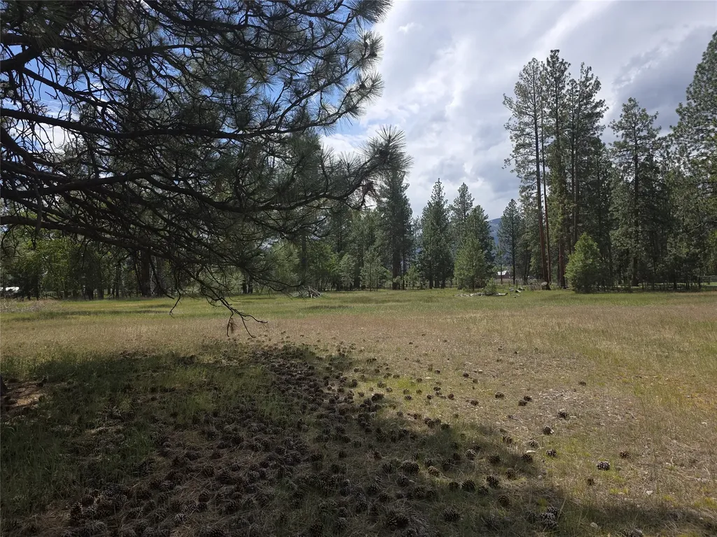 2037 Middle Bear Creek Road Victor MT 59875