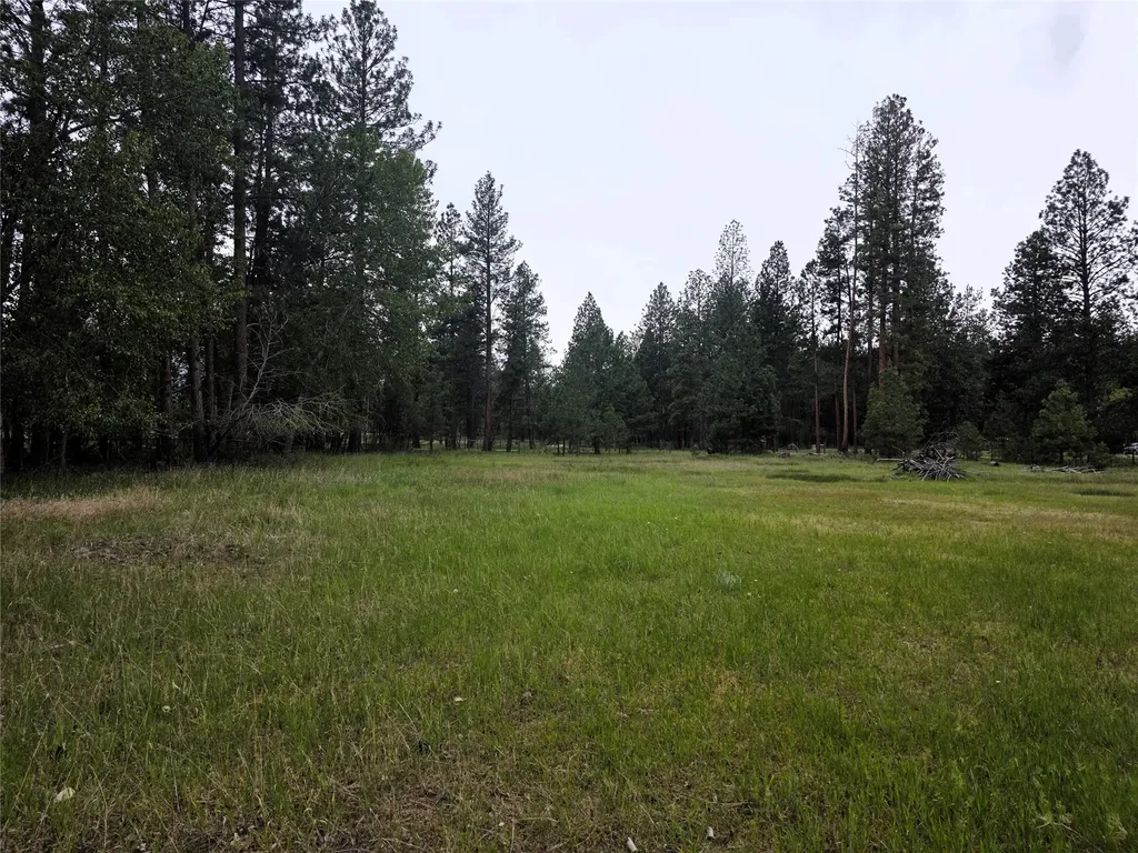 2037 Middle Bear Creek Road Victor MT 59875