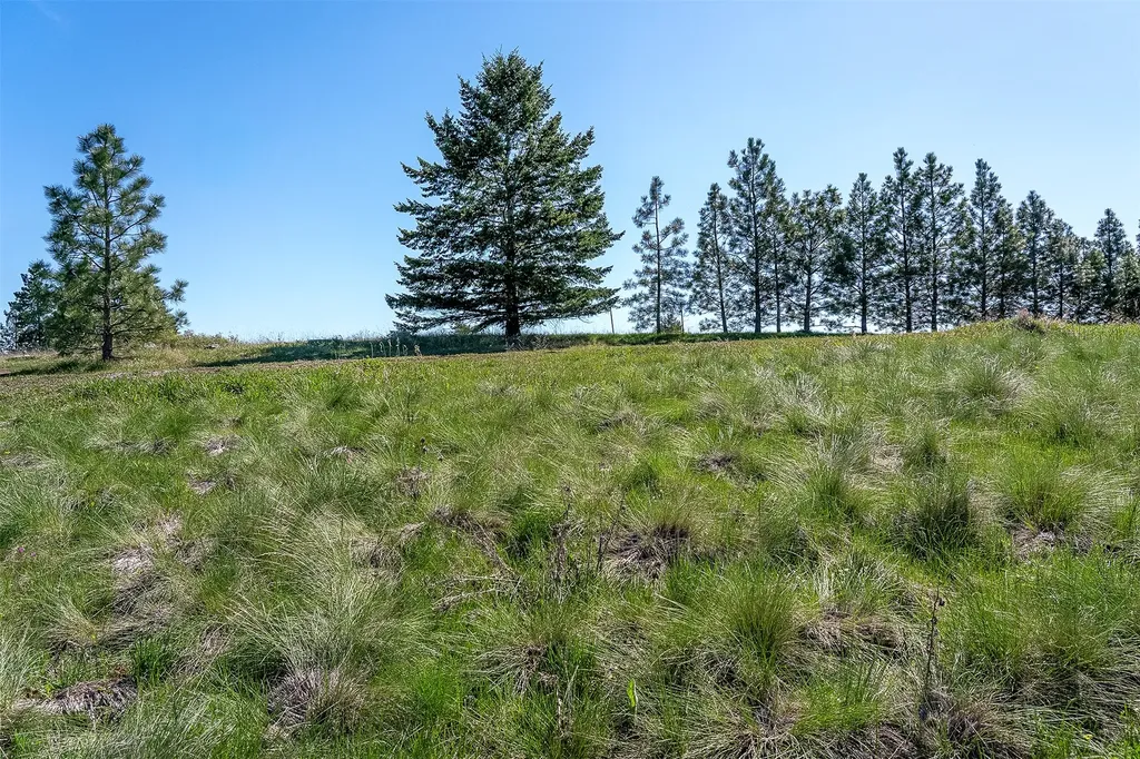 Nhn Lot 11 Long Lake Drive Polson MT 59860