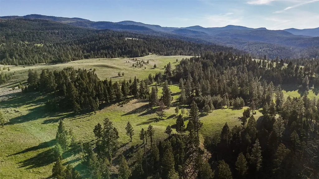 Tbd Indian Creek Road Helmville MT 59843