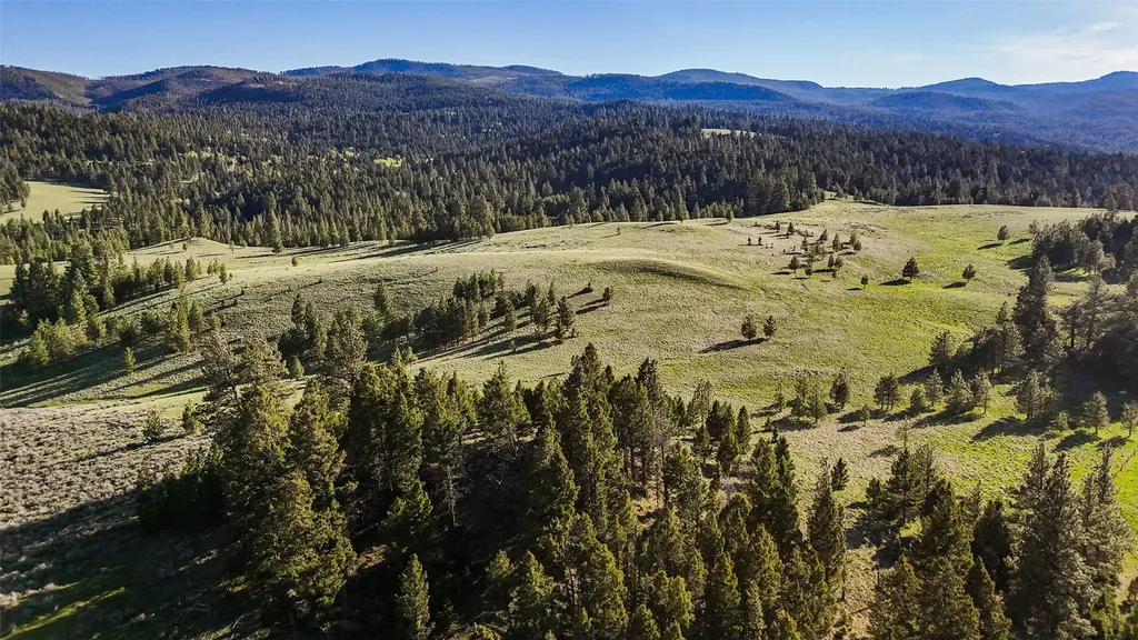 Tbd Indian Creek Road Helmville MT 59843
