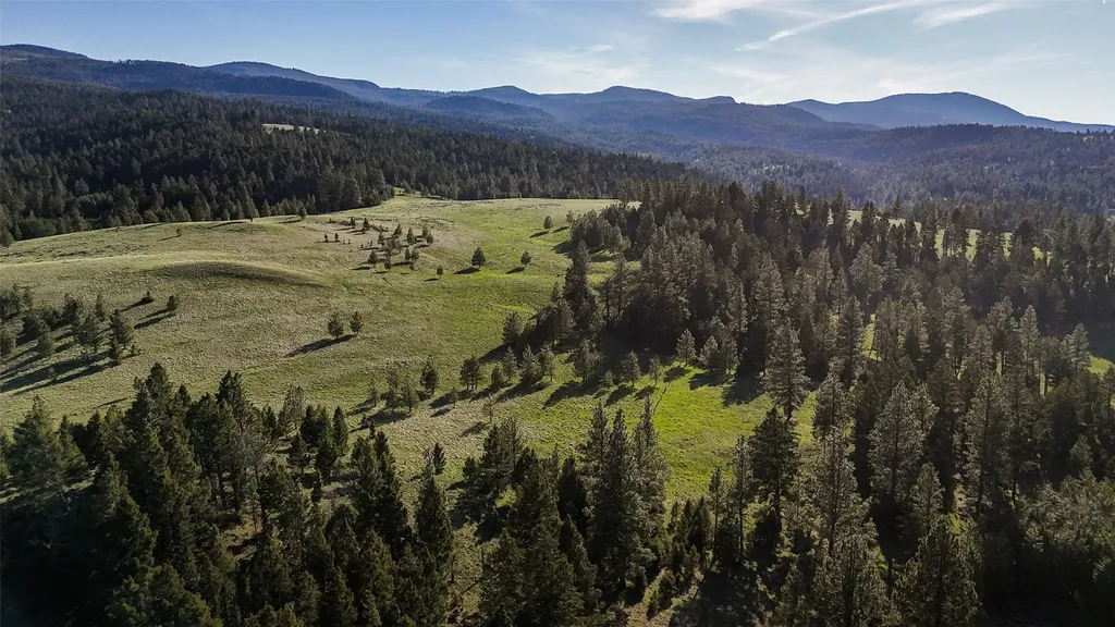 Tbd Indian Creek Road Helmville MT 59843
