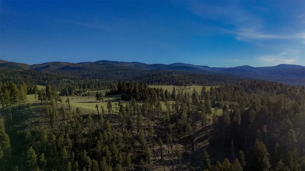Tbd Indian Creek Road Helmville MT 59843