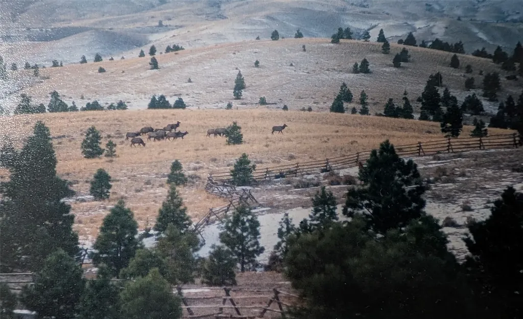 700 Timber Ridge Road Helena MT 59602