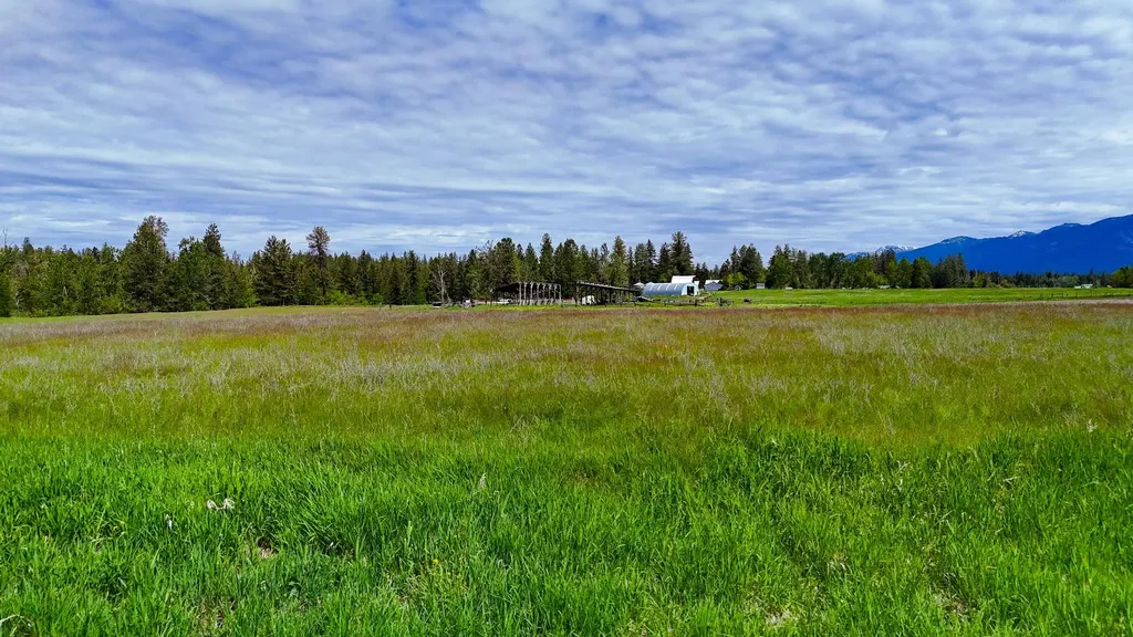 Nhn Hillside Road St Ignatius MT 59865